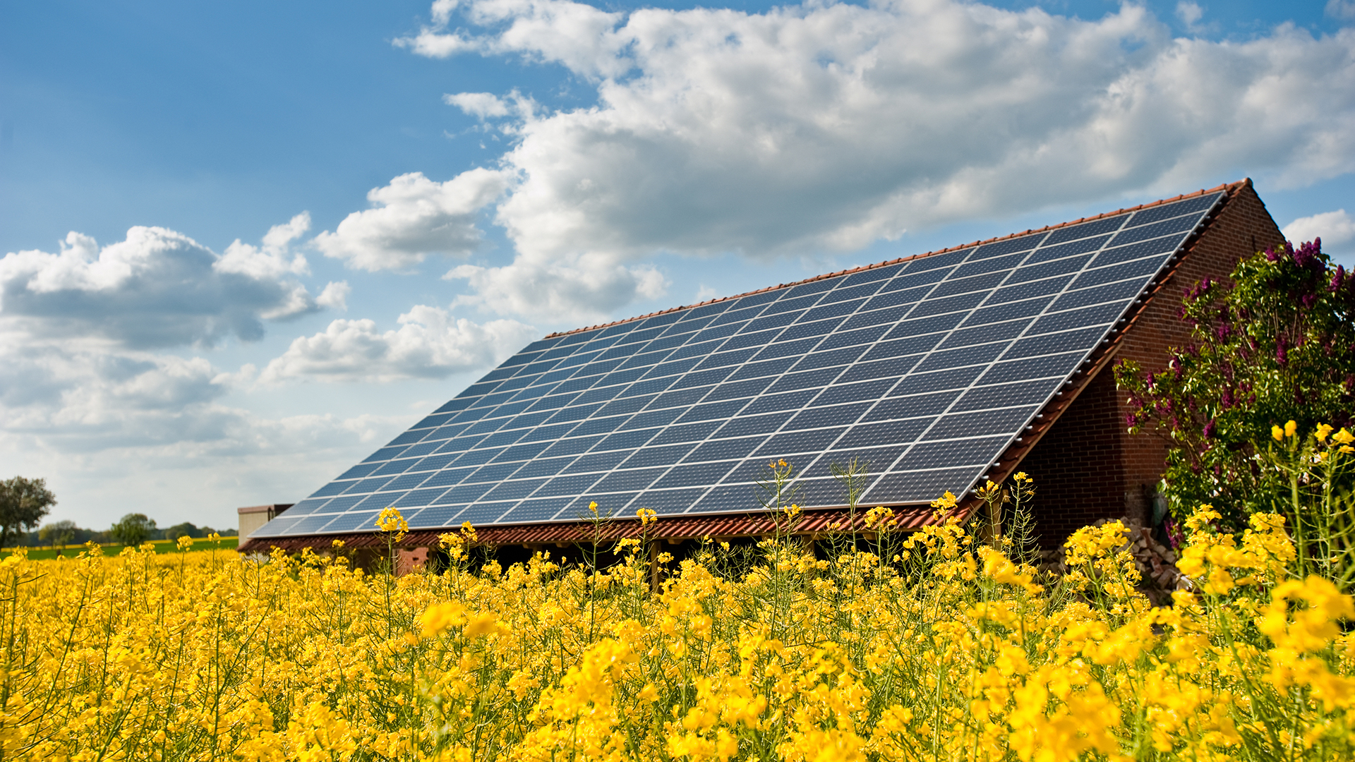 Dach mit Solarpaneelen